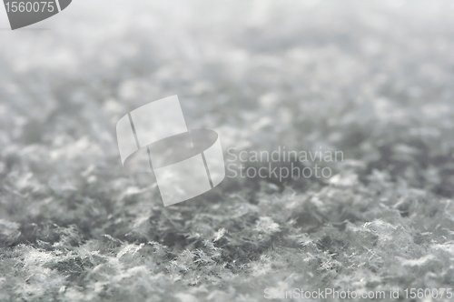 Image of Snowflakes background