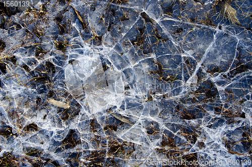 Image of Cracked water ice on frozen bog winter background 