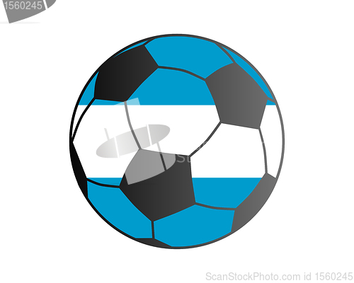 Image of Flag of Argentina and soccer ball