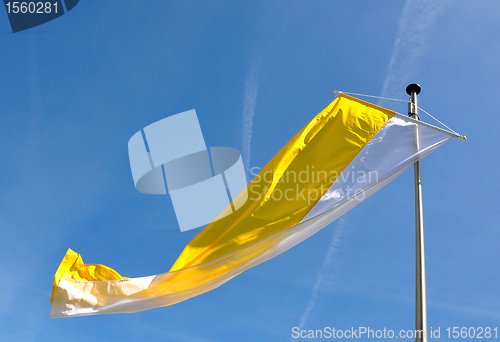 Image of Flag of Vatican