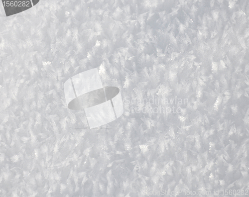 Image of Snow crystals