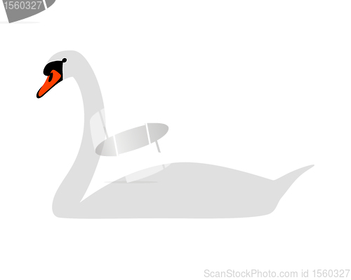 Image of White swan