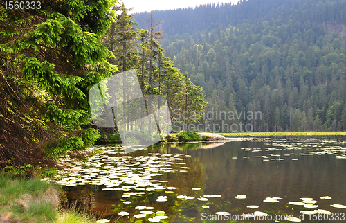 Image of Lake Arber in Bavaria (Grosser Arbersee)