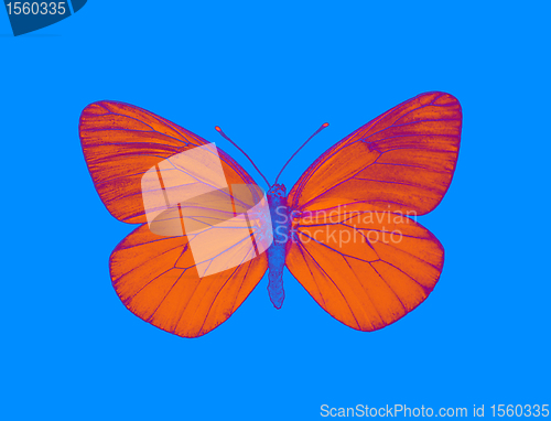 Image of Alien butterfly