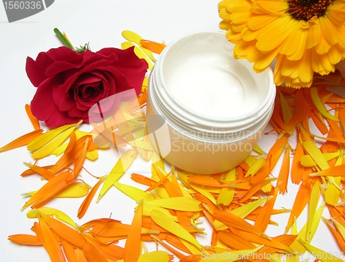 Image of Hand-made beauty cream with flowers (rose and calendula)