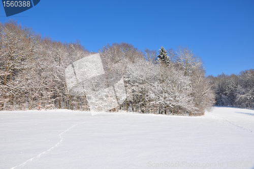 Image of Winter landscape in Bavaria