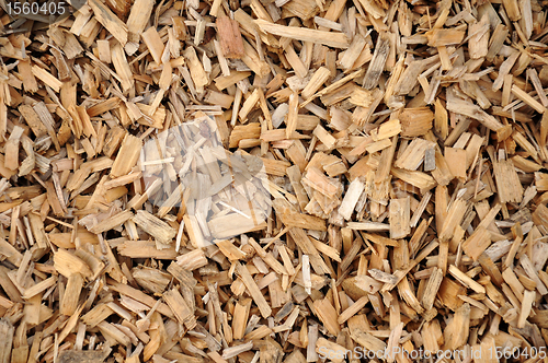 Image of Wood chips