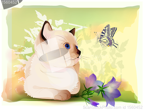 Image of retro birthday greeting  card with thai kitten watching at butterfly . Watercolor style.