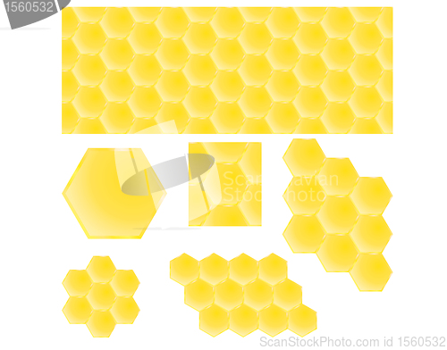 Image of honey combs 
