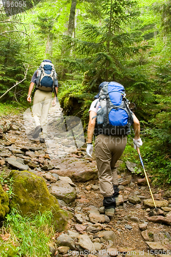 Image of Hikers