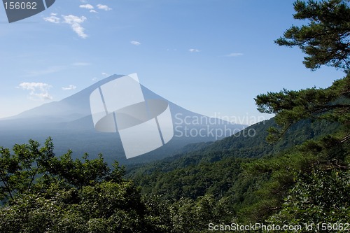 Image of Sea of Pines