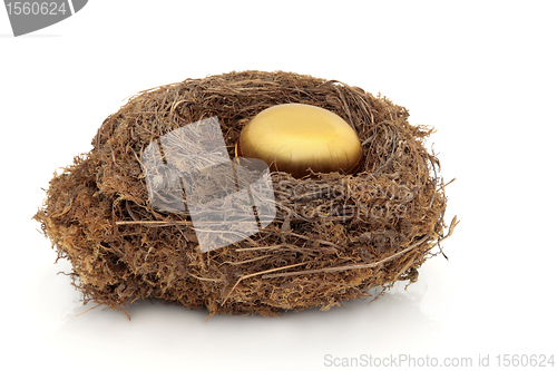 Image of Golden Nest Egg