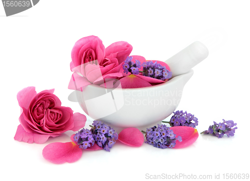 Image of Rose and Lavender Flowers