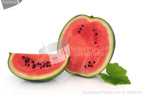 Image of Watermelon Fruit