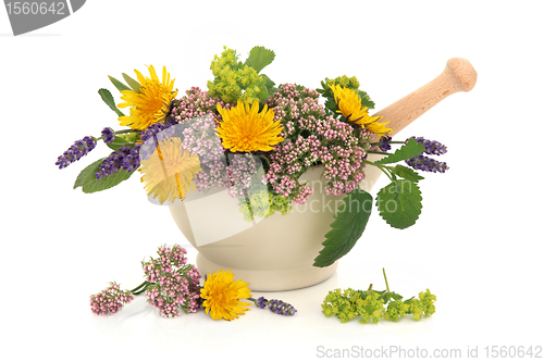 Image of Herb Flower Selection