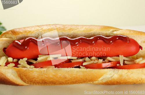 Image of Hot Dog With Tomato