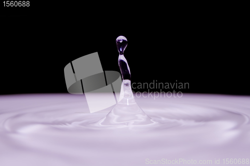 Image of Water droplet