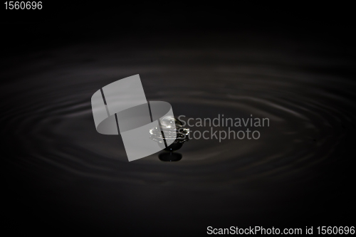 Image of Water droplet