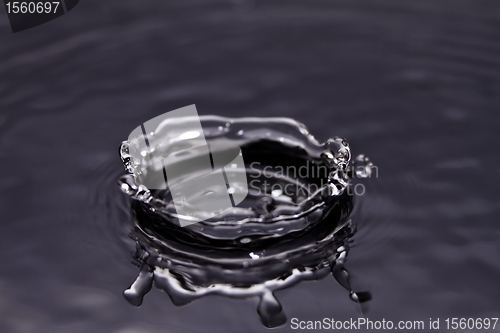 Image of Water droplet