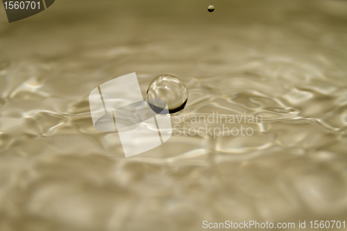 Image of Water droplet