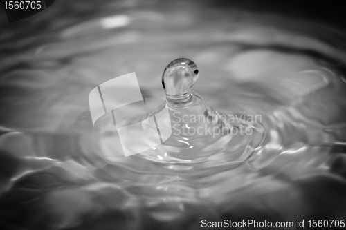 Image of Water droplet