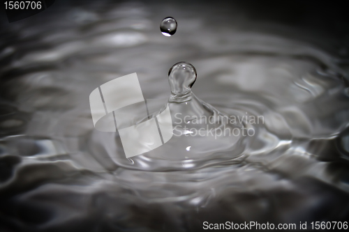 Image of Water droplet