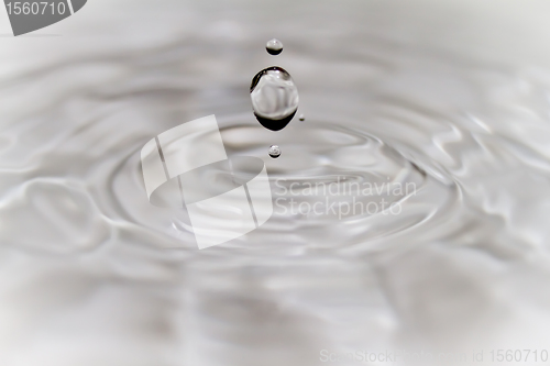 Image of Water droplet