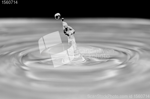 Image of Water droplet