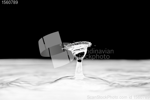 Image of Water droplet