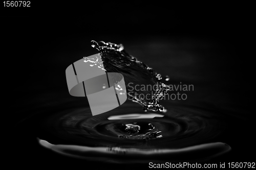 Image of Water droplet