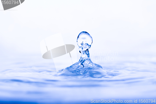 Image of Water droplet