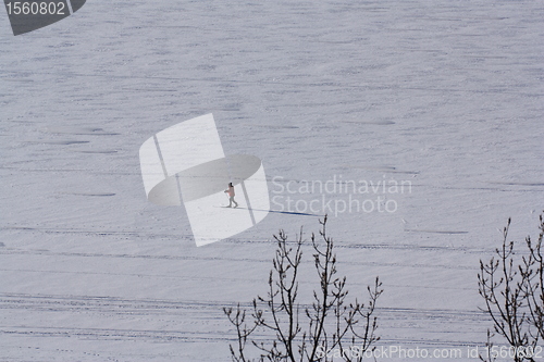 Image of Ottawa River Cross-country skiing