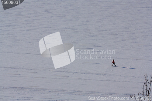 Image of Enjoy the day by Cross-country skiing on the Ottawa River 