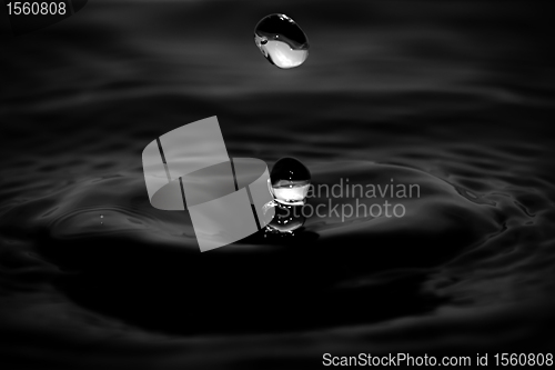 Image of Water droplet