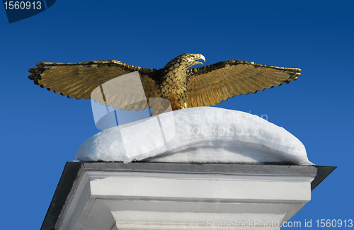 Image of Golden Eagle