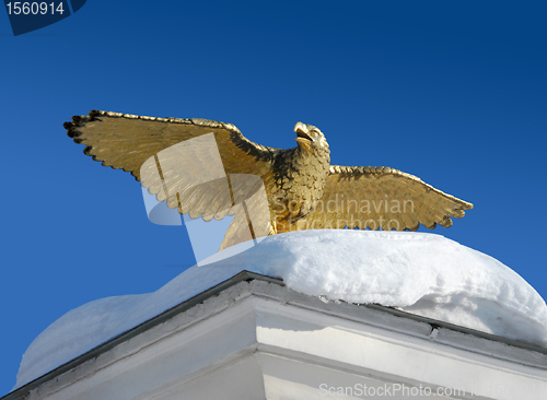 Image of Golden Eagle