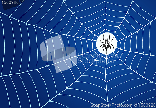 Image of Spider and Net Illustration