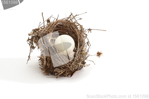 Image of Small bird nest with ping-pong ball instead of egg isolated