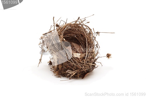 Image of Empty small bird nest isolated 