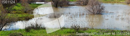 Image of Trees and bushes standing in water during a spring high water