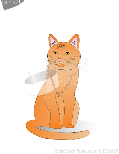 Image of Orange Cat Vector Illustration