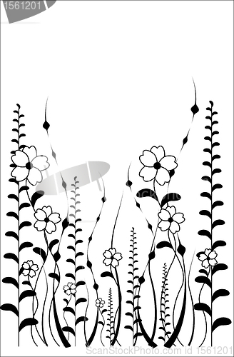 Image of flower pattern on white background