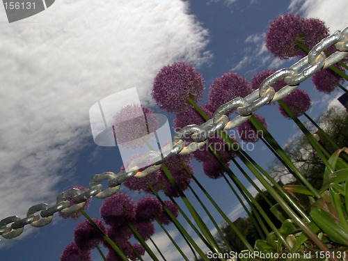 Image of Surreal Flowers Restrained by Chain