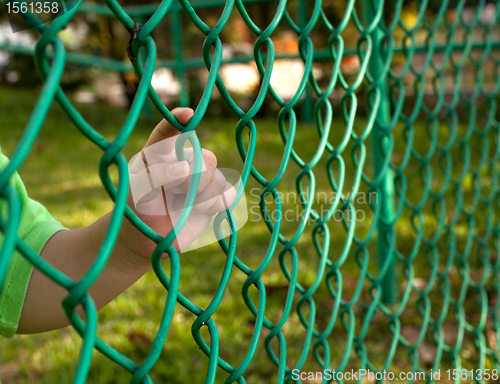 Image of Child finger on fence