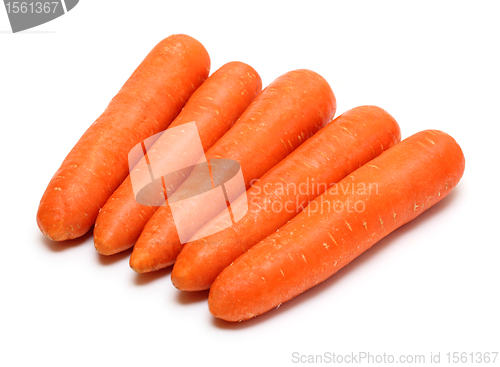 Image of raw carrots