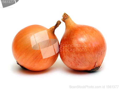 Image of two onion
