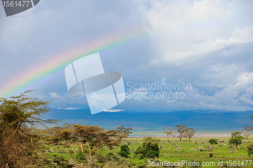 Image of Rainbow and elephant