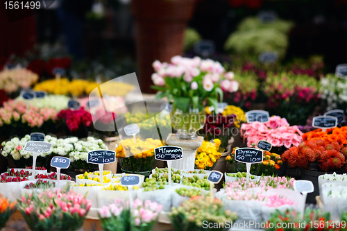 Image of Flower market