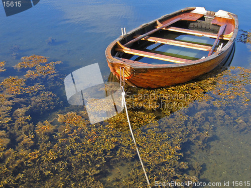 Image of Sunken wooden boat