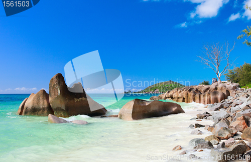 Image of Idyllic beach in Seychelles